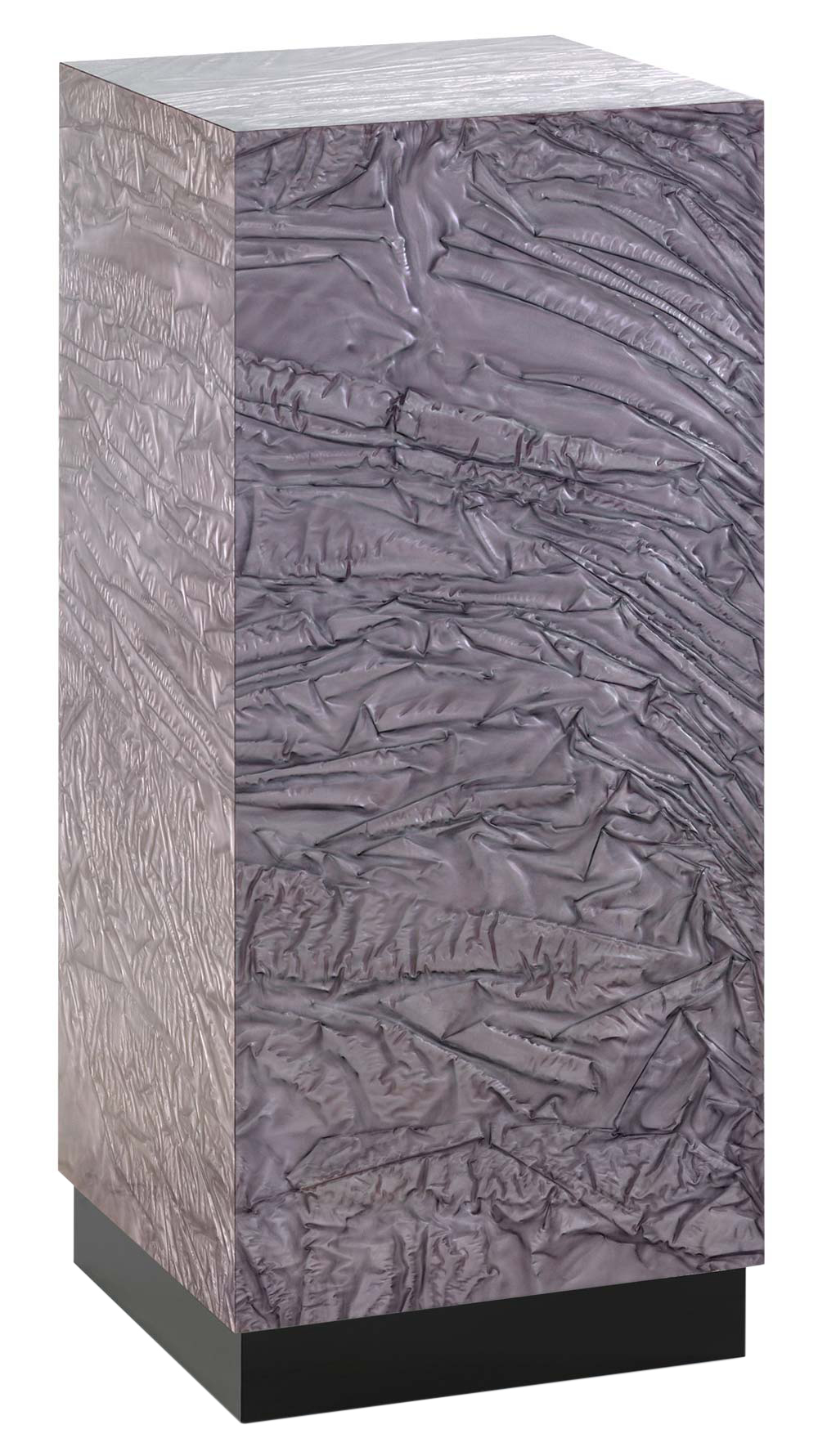 CT00100071aubergine 1